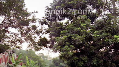 Jual Tanah Sentul City 2000 M2 Desa Cipambuan Untuk Pabrik Dan Gudang