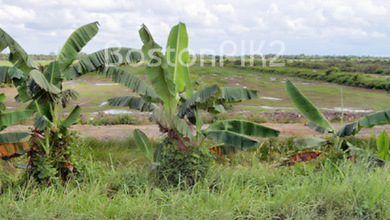 Jual Kavling Tanah Industri 2 Ha 100x200 Kawasan Ekonomi Khusus Kek Tanjung Api Api Palembang Sumatera Selatan