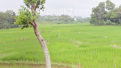 Jual Tanah Kavling 25 Ha 250.000 M2 Untuk Perumahan Jl Curug Badak Lebak Banten Samping Citra Maja Raya City