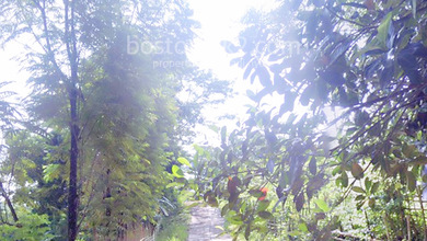 Jual Kavling Tanah 1000000 M2 100 Ha Desa Ciririp Parungbanteng Kutamanah Sukatani Sukasari Purwakarta - Sell Land 100 Ha Kutamanah Sukatani Sukasari Purwakarta