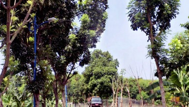 Jual Kavling Tanah 9000 M2 Samping Perumahan Green Permata Pesanggrahan Ulujami Jakarta Selatan