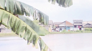 Jual Hanya 1,4 Juta Tanah 4500 M2 Jl Sungai Tiram Rorotan Marunda Dibawah Njop Untuk Rumah Dan Gudang - Sell Land 4500 Sqm Rorotan Marunda Under Njop