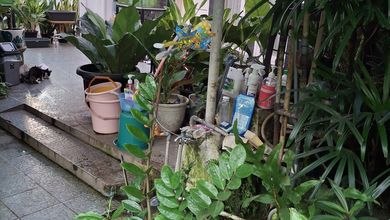 Termurah Rumah Daerah Kebayoran Blok A Kelurahan Gandaria Utara LT 800M²