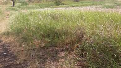 Dijual Tanah di Babelan Bekasi 2 Ha