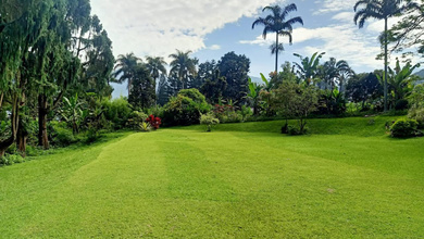 Jual Villa Puncak 1 Ha 10000 M2 Cisarua Bogor Jl Gandamanah Tugu Selatan