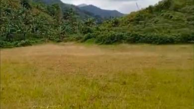 Tanah 114 Ha Puncak 2 Sukamakmur Bogor